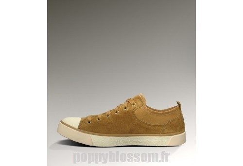 Authentique Ugg-356 Evera chataignier Sneakers?